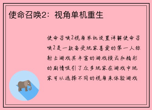 使命召唤2：视角单机重生